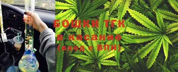 индика Лиски