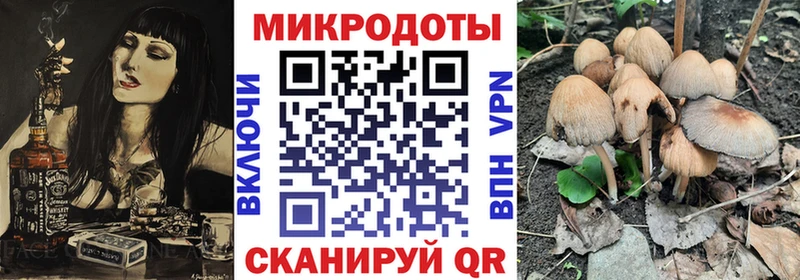 Купить  Орёл  Псилоцибиновые грибы GOLDEN TEACHER 